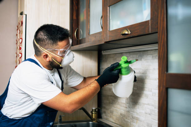 Best Cockroach Control Services  in Harbison Nyon, CA