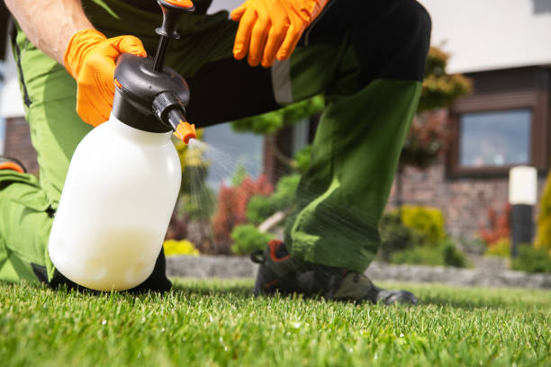 Best Rat Extermination Near Me  in Harbison Nyon, CA