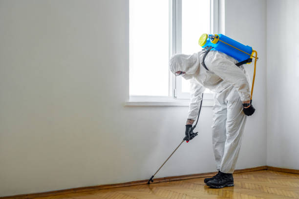 Best Pest Inspection Near Me  in Harbison Nyon, CA