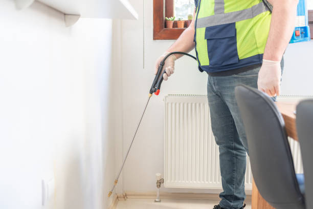 Best Pest Removal Services  in Harbison Nyon, CA