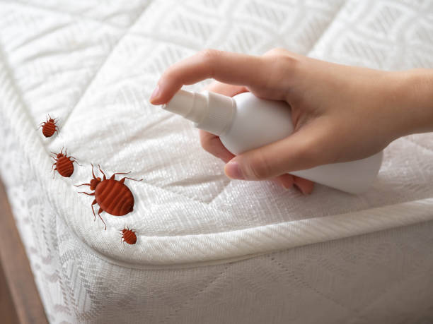 Best Best Pest Control Companies  in Harbison Nyon, CA