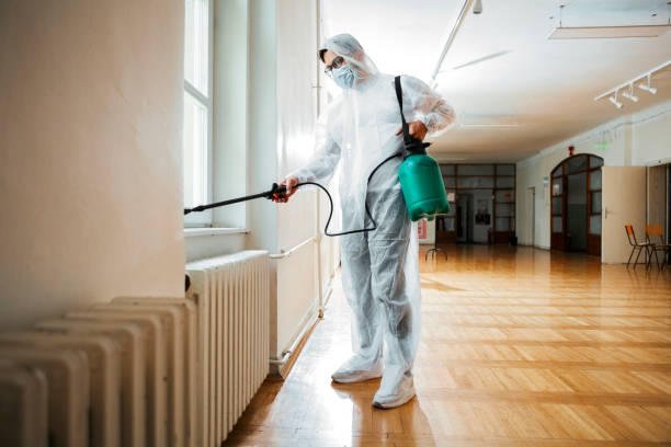 Best Best Pest Control Companies  in Harbison Nyon, CA