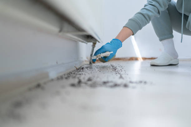 Best Residential Pest Control  in Harbison Nyon, CA